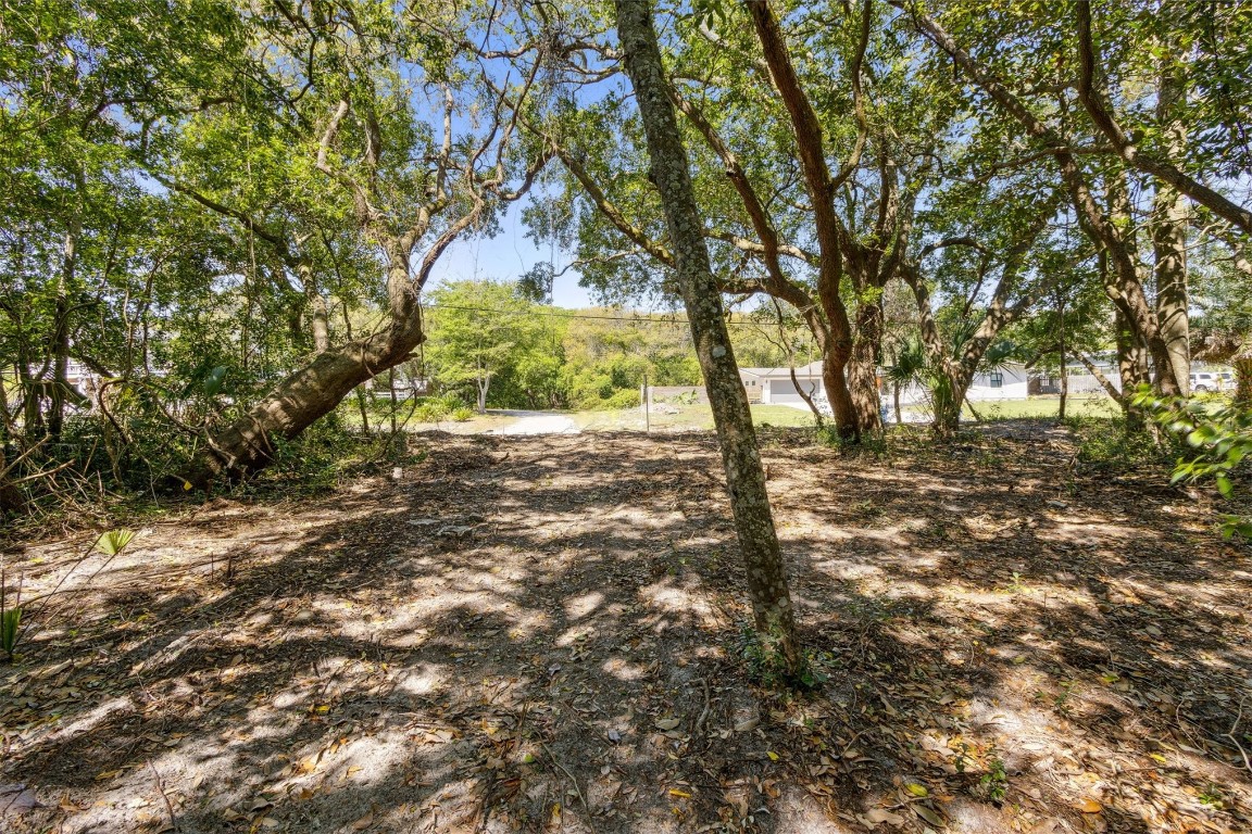 Gregor Mcgregor Boulevard, Fernandina Beach, New Mexico image 15