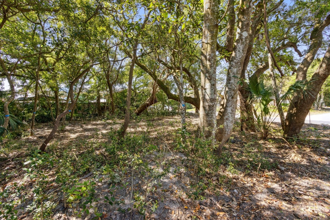 Gregor Mcgregor Boulevard, Fernandina Beach, New Mexico image 12