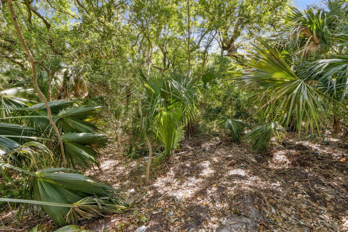 Gregor Mcgregor Boulevard, Fernandina Beach, New Mexico image 16
