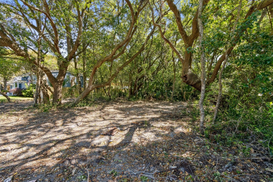 Gregor Mcgregor Boulevard, Fernandina Beach, New Mexico image 14