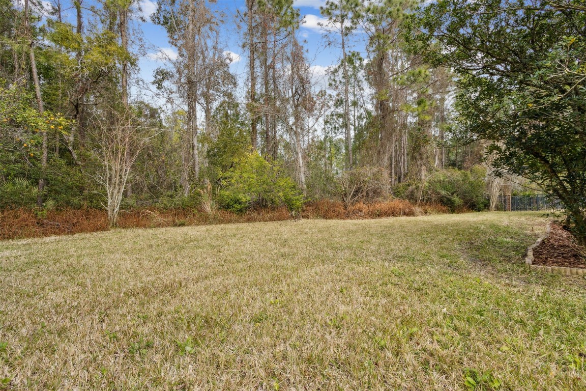 31105 Grassy Parke Drive, Fernandina Beach, Florida image 47