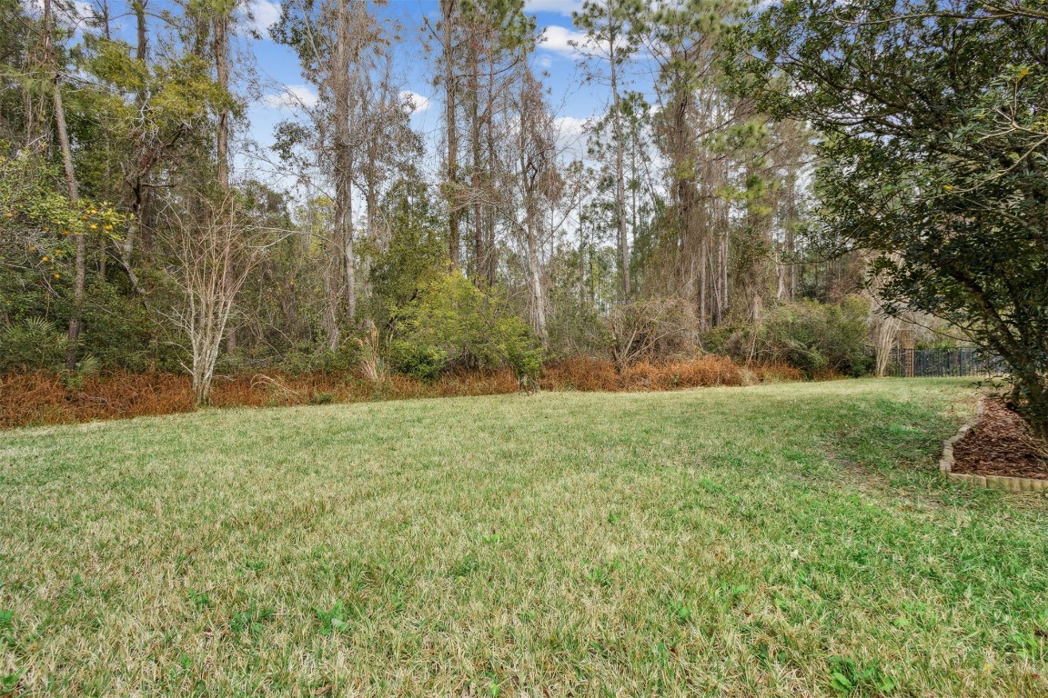 31105 Grassy Parke Drive, Fernandina Beach, Florida image 42