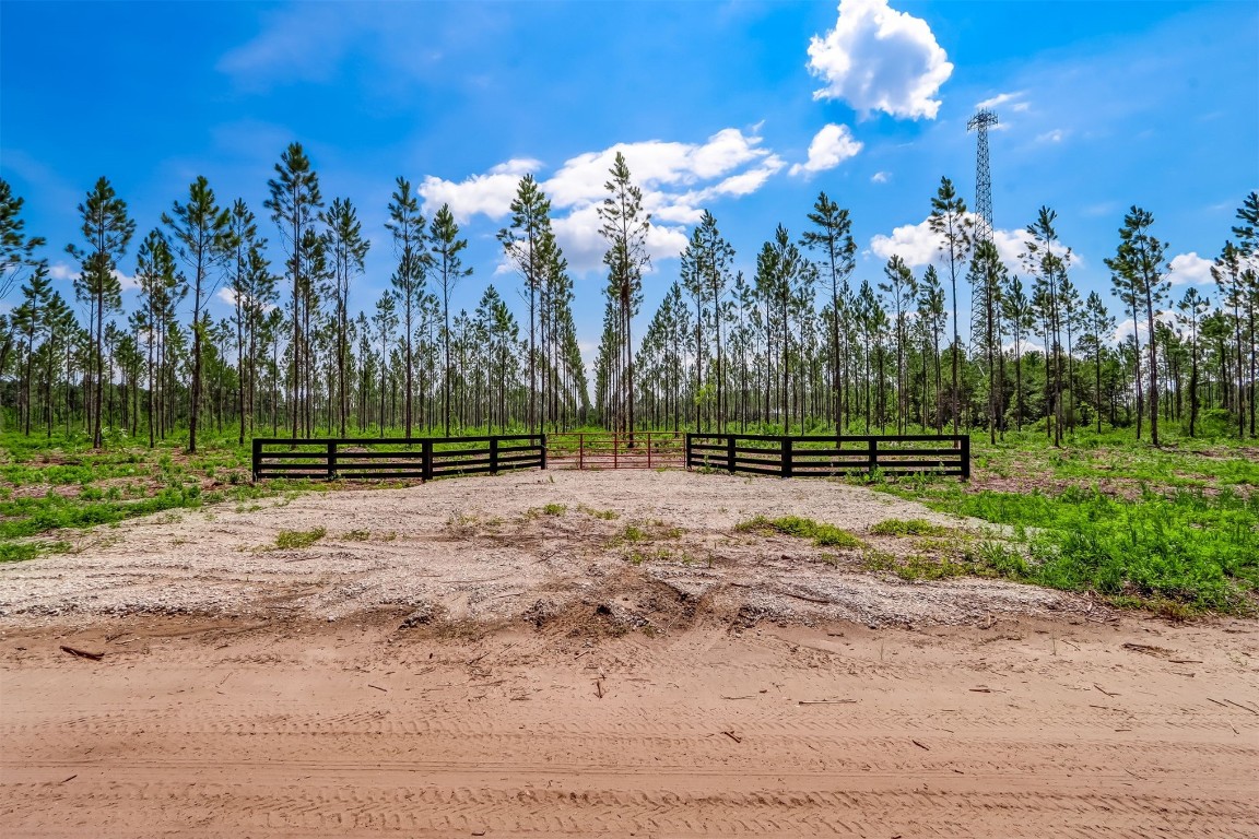 Lot 11 Georgia Street, Hilliard, Florida image 4