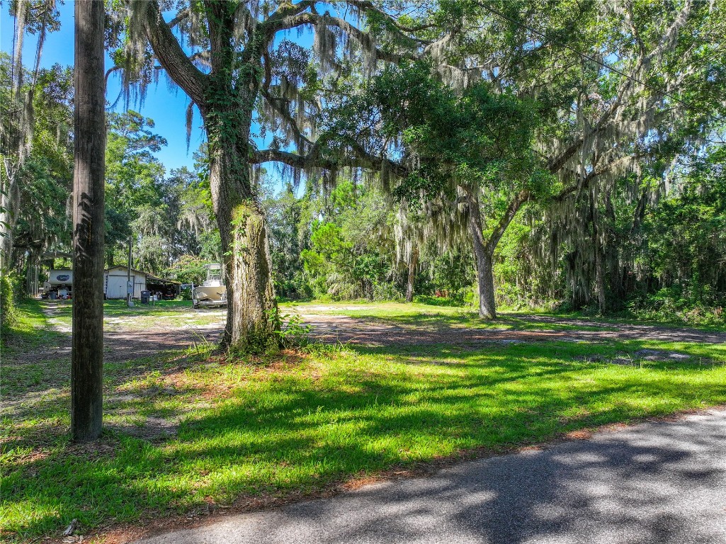 94050 Winterberry Avenue, Fernandina Beach, Florida image 4