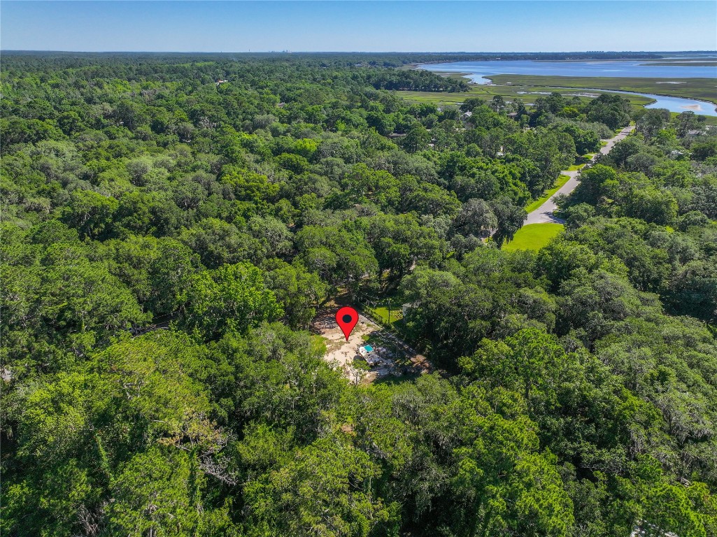 94050 Winterberry Avenue, Fernandina Beach, Florida image 9