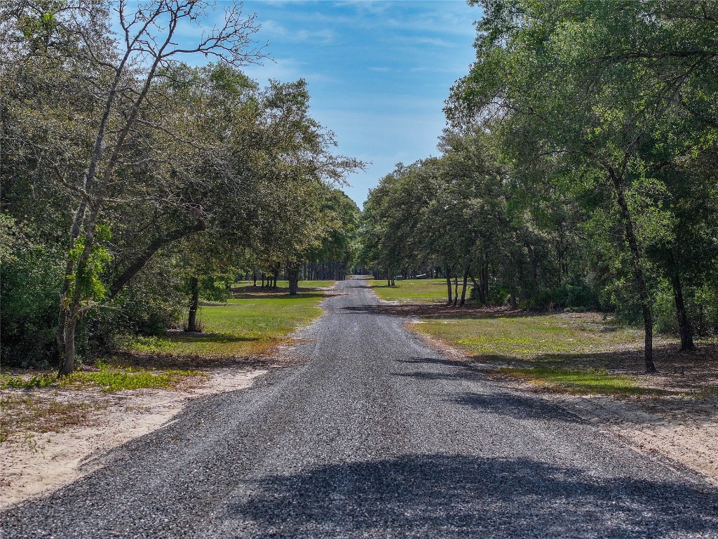 8115 Odom Ranch Trail, Keystone Heights, Florida image 4