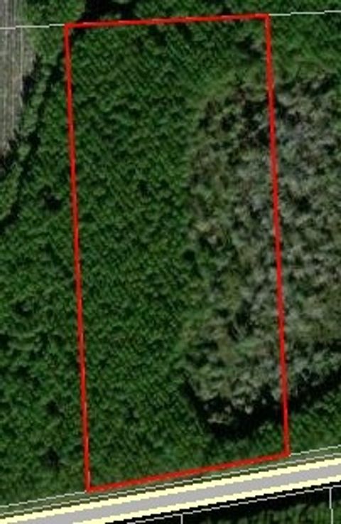 Vacant Land For Sale - 172650 Andrews Road<br/> Hilliard, FL 32046
