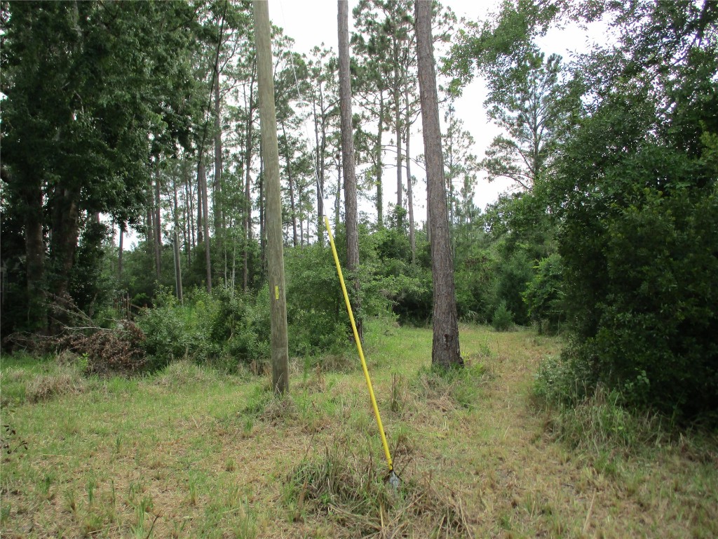 Blk 219 Lots 13 Thru 20 Street, Hilliard, Florida image 3