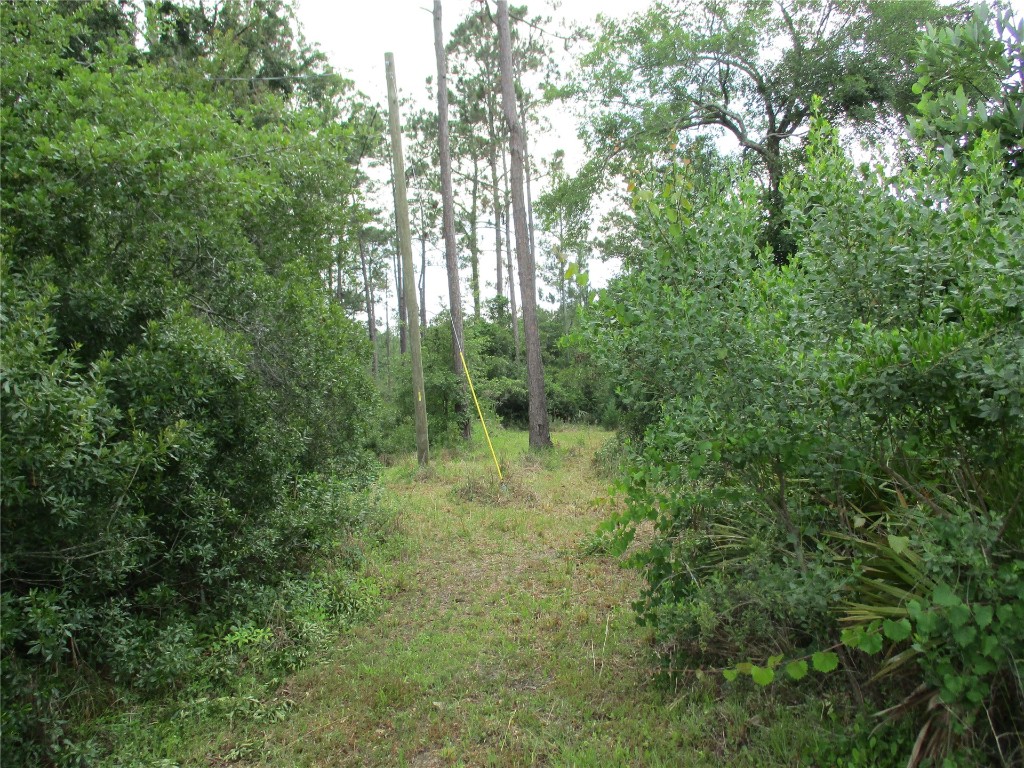 Blk 219 Lots 13 Thru 20 Street, Hilliard, Florida image 1