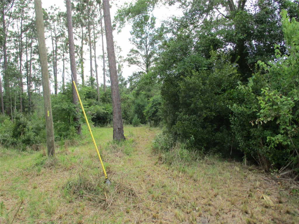 Blk 219 Lots 13 Thru 20 Street, Hilliard, Florida image 5
