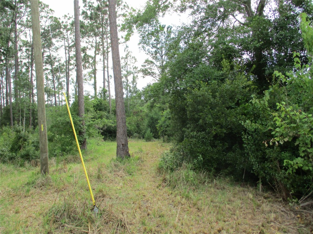 Blk 219 Lots 13 Thru 20 Street, Hilliard, Florida image 2