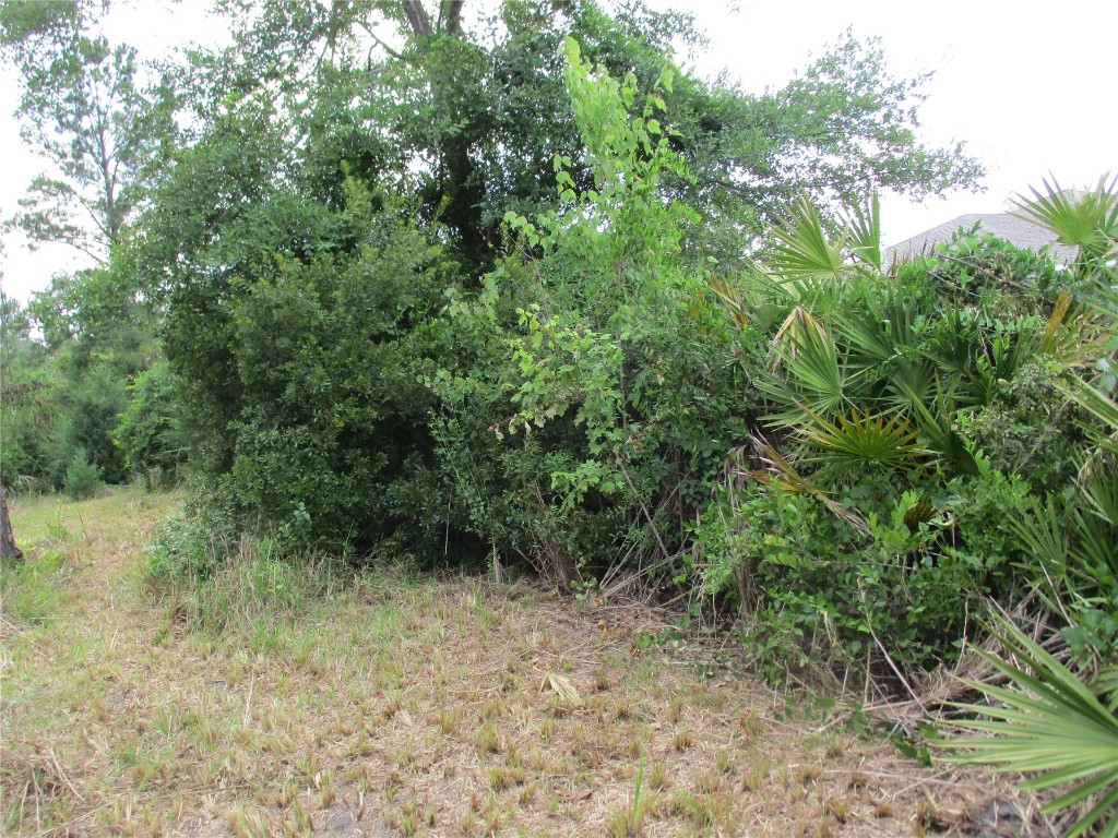 Blk 219 Lots 13 Thru 20 Street, Hilliard, Florida image 4