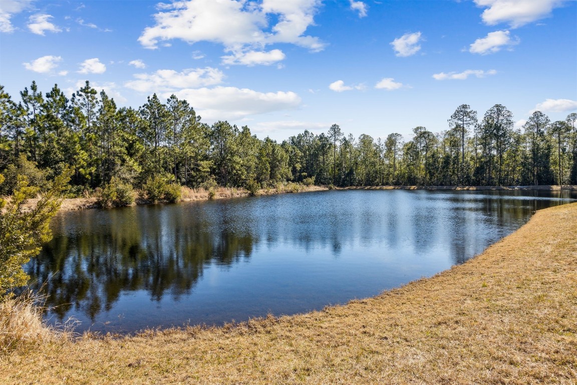 32500 Willow Parke Circle, Fernandina Beach, Florida image 46