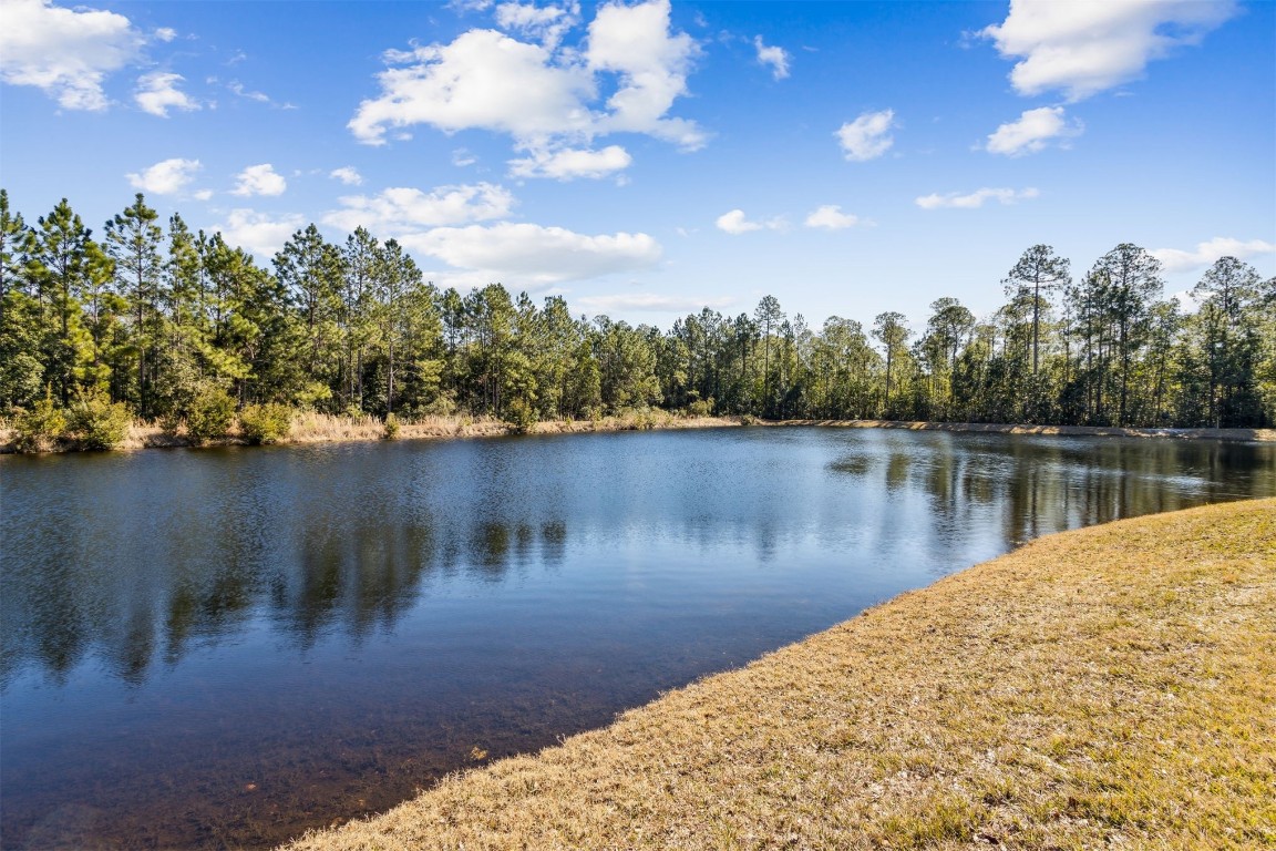 32500 Willow Parke Circle, Fernandina Beach, Florida image 45