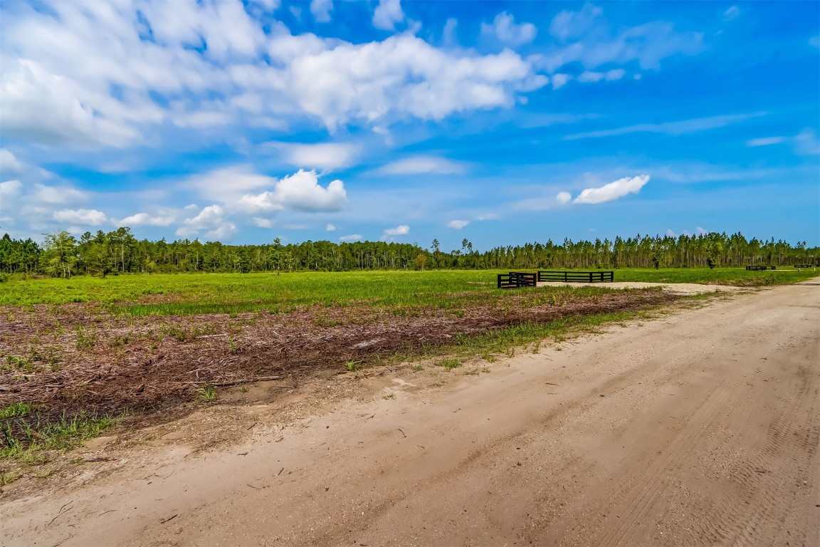 Lot 1 Georgia Street, Hilliard, Florida image 7