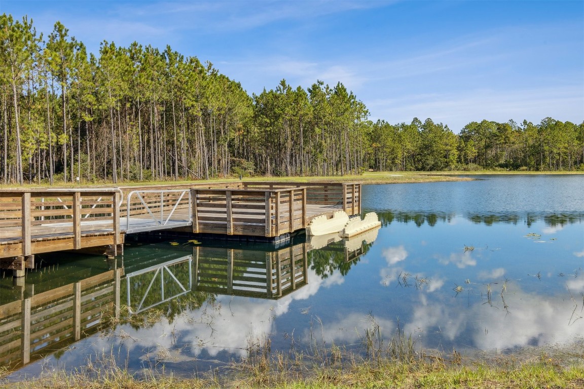 382 Muhly Grass Street, Yulee, Florida image 46