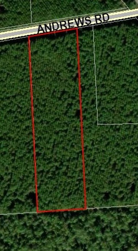Vacant Land For Sale - 172811 Andrews Road<br/> Hilliard, FL 32046
