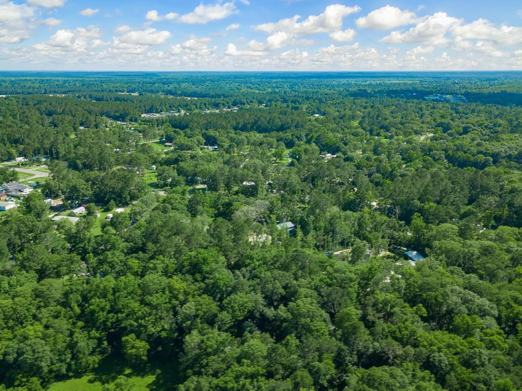 Marlee Drive, Callahan, Florida image 3