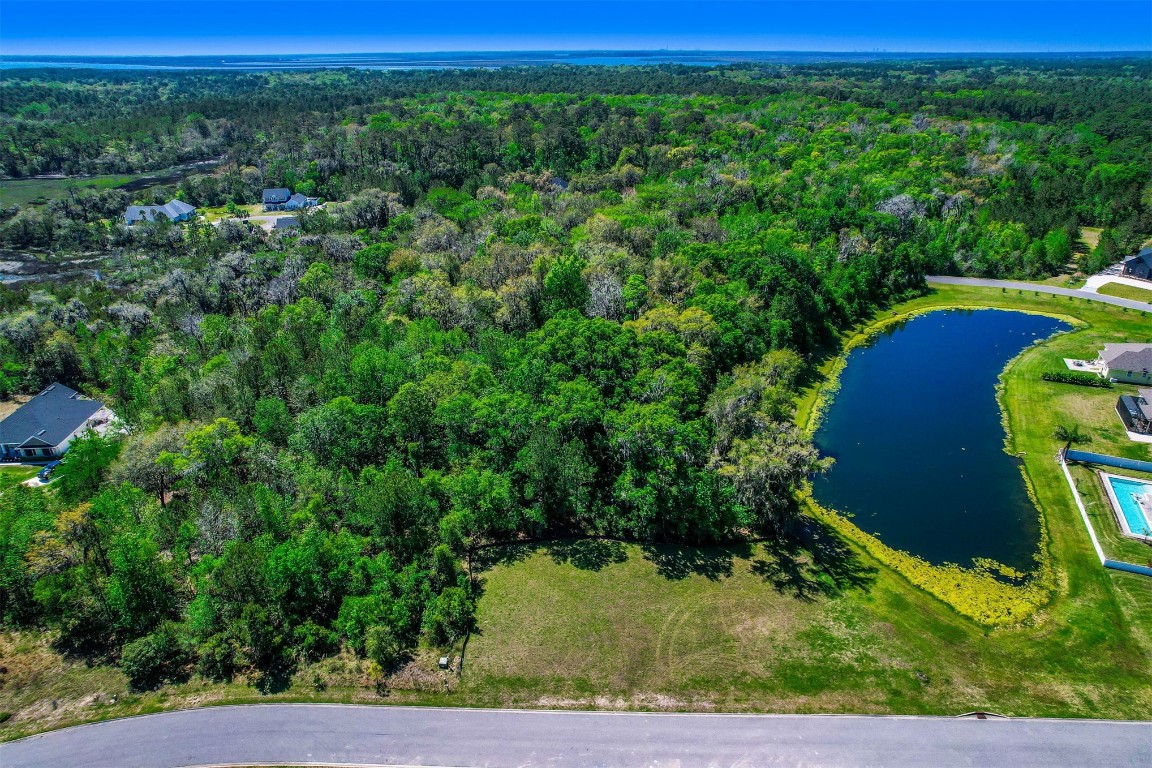 95124 Brookhill Place, Fernandina Beach, Florida image 5