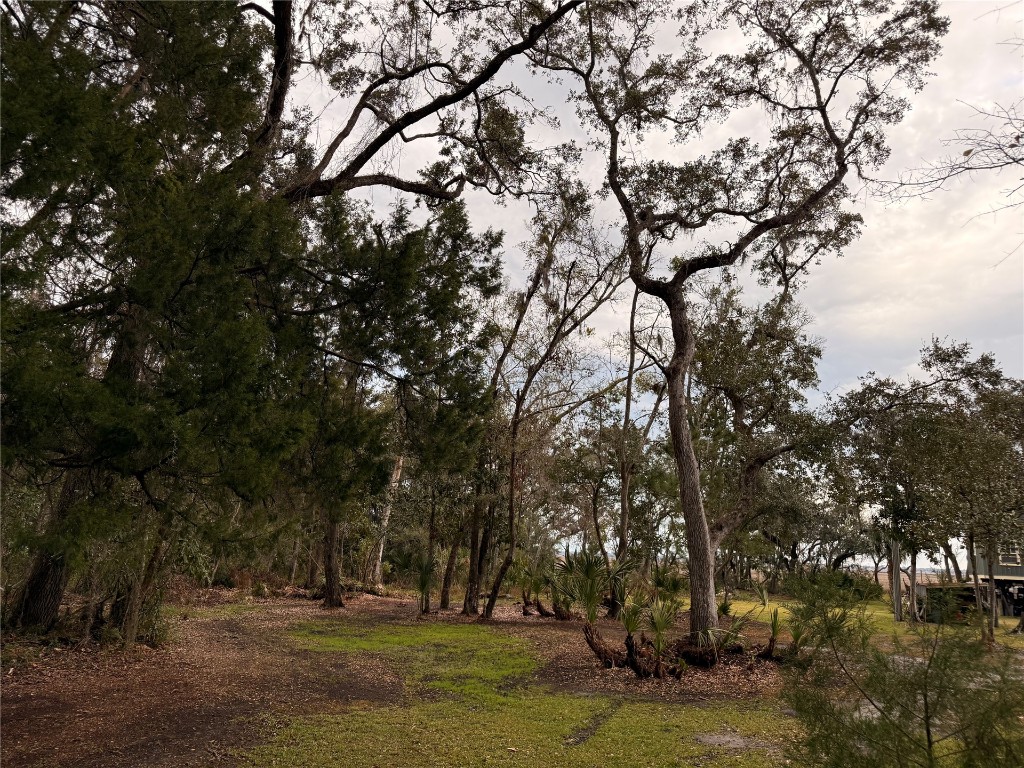 LOT 1 Tyson Road, Fernandina Beach, Florida image 5