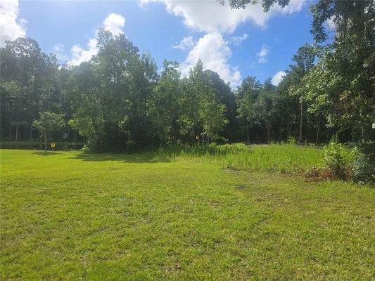 96624 CAYMAN CIRCLE, FERNANDINA BEACH, FL 32034 - Image ead8c3d45818a75f2a1efa3b4cf3b0c4/397325120