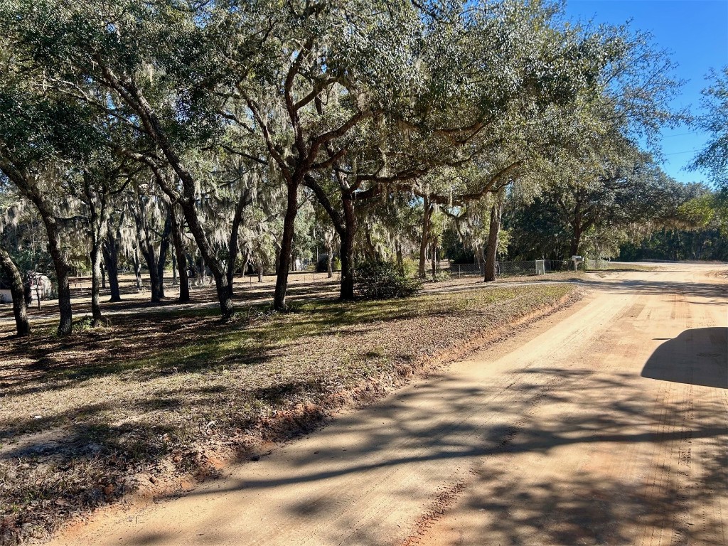 7063 Gatorbone Road, Keystone Heights, Florida image 4