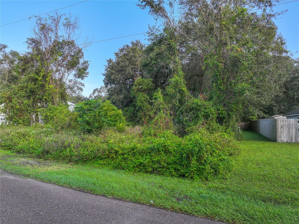 Grove Park Circle, Fernandina Beach, Florida image 4