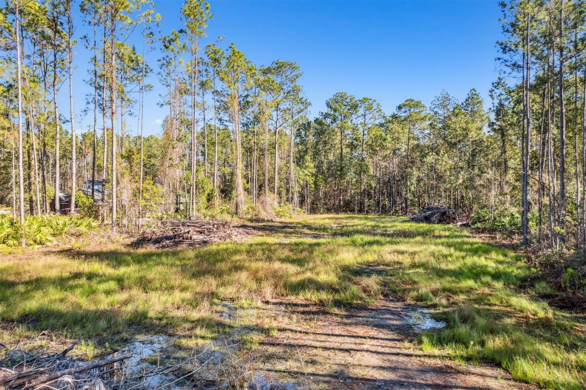 75726 Edwards Road, Yulee, Florida image 6