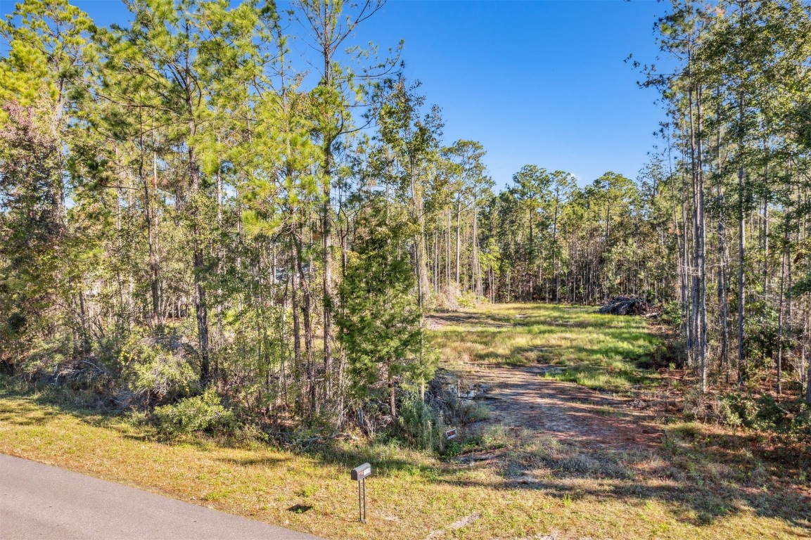 75726 Edwards Road, Yulee, Florida image 2