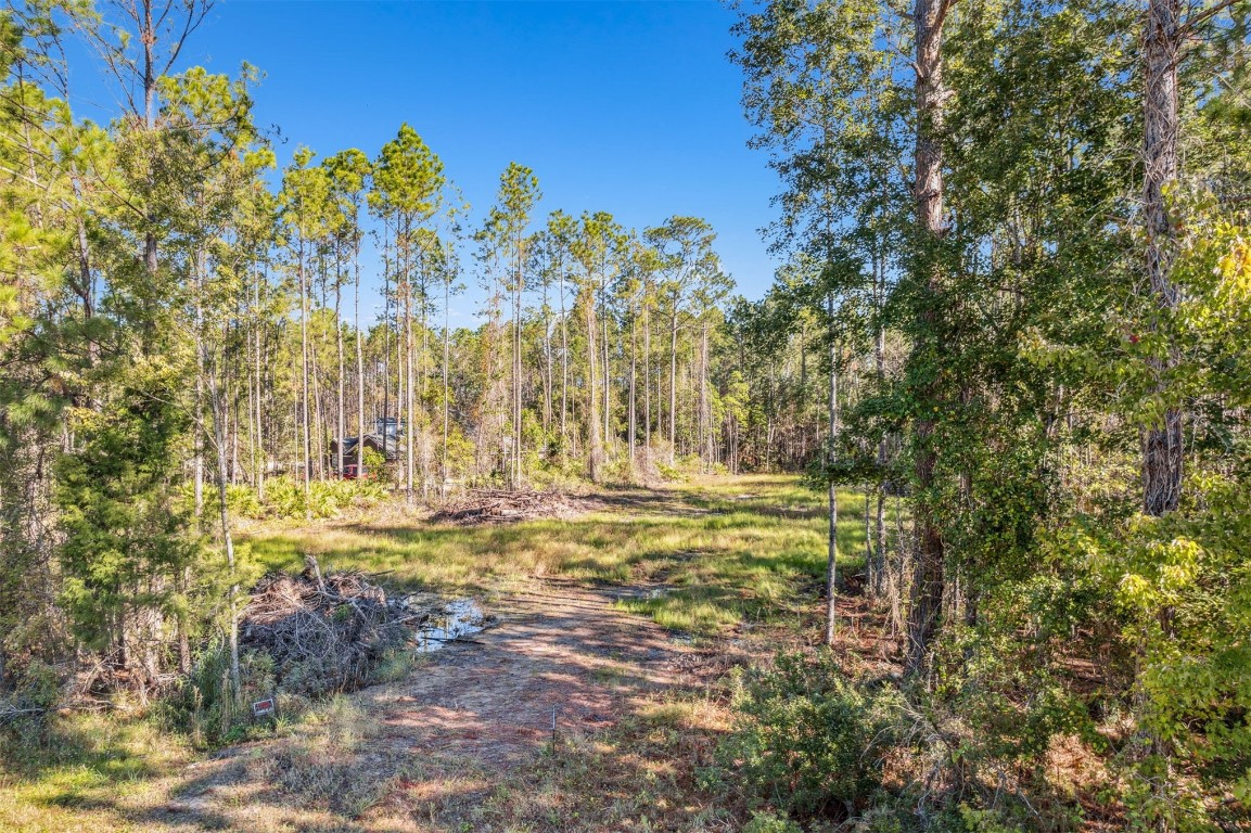 75726 Edwards Road, Yulee, Florida image 5