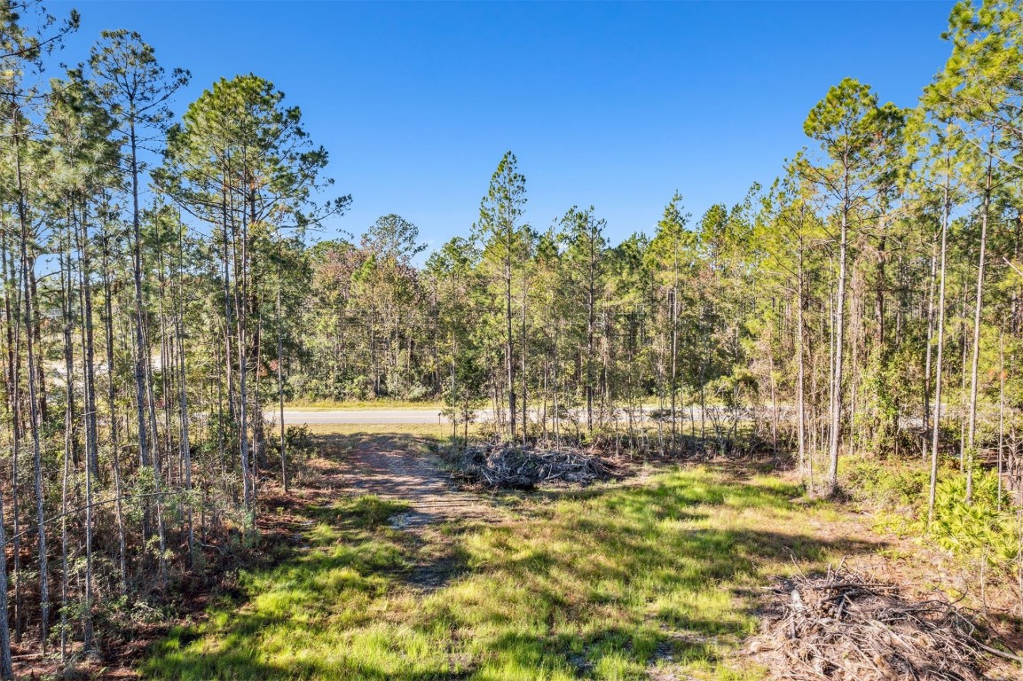 75726 Edwards Road, Yulee, Florida image 8