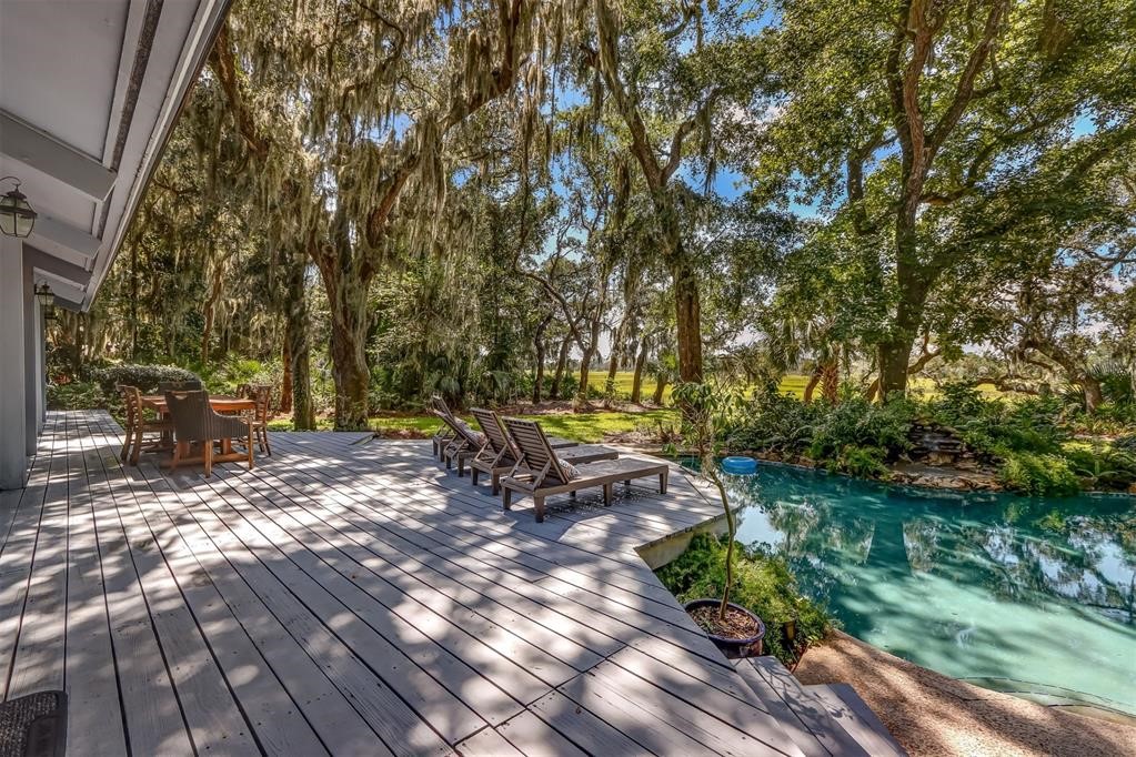 1 Marsh Hawk Road, Amelia Island, Florida image 31