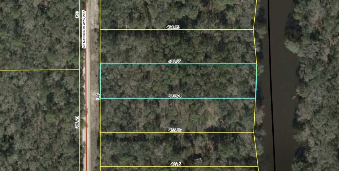 Lot 12 NE Madison Bluffs Way, Lee, Florida image 2