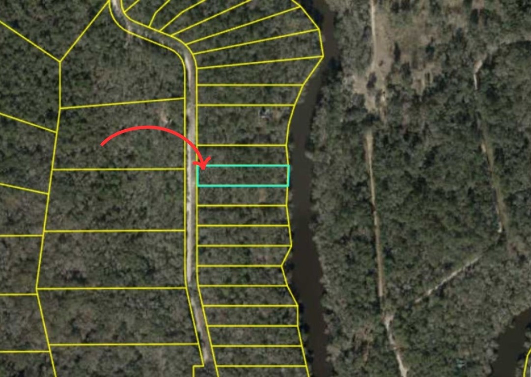 Lot 12 NE Madison Bluffs Way, Lee, Florida image 3