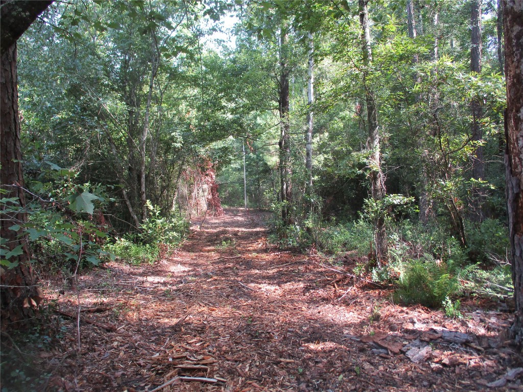 Andrews Road, Hilliard, Florida image 18