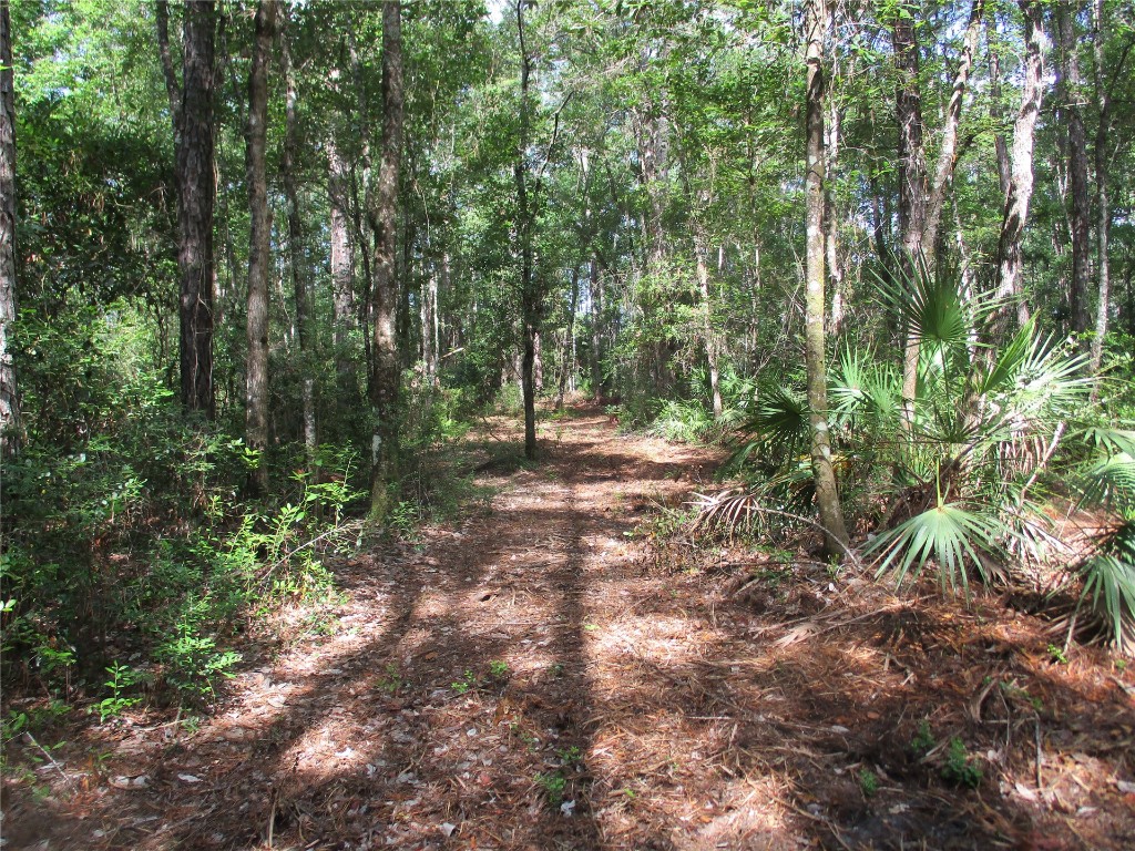 Andrews Road, Hilliard, Florida image 24