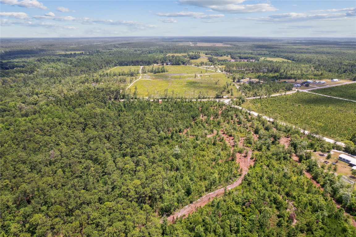 Andrews Road, Hilliard, Florida image 10