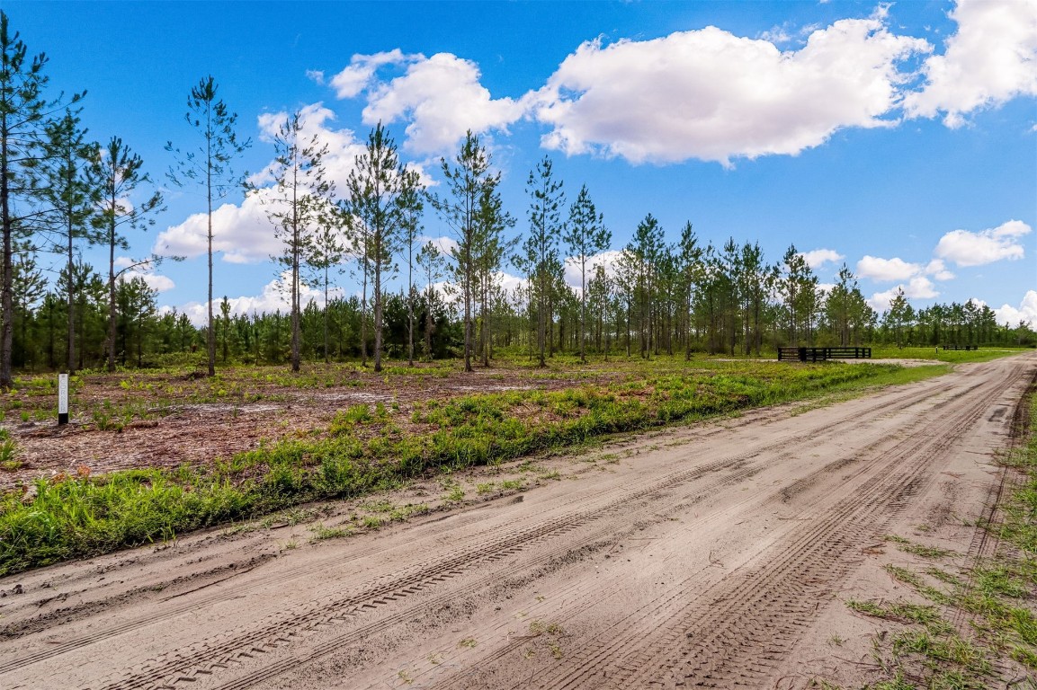 Lot 8 Georgia Street, Hilliard, Florida image 8