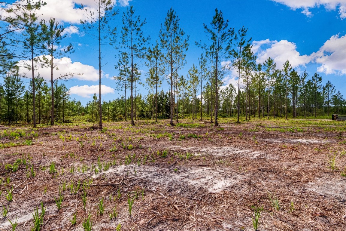 Lot 8 Georgia Street, Hilliard, Florida image 7