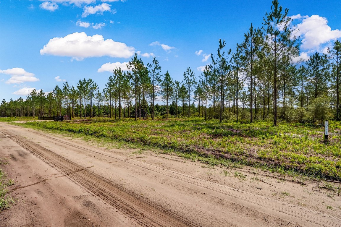 Lot 8 Georgia Street, Hilliard, Florida image 9