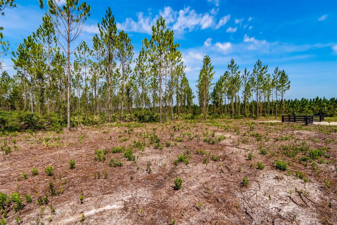 Lot 6 Georgia Street, Hilliard, Florida image 8