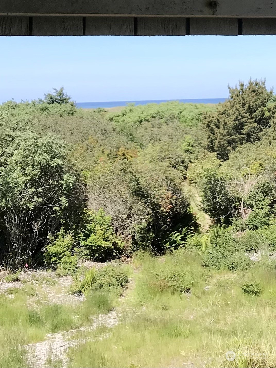 835 Ocean Shores Boulevard NW 208