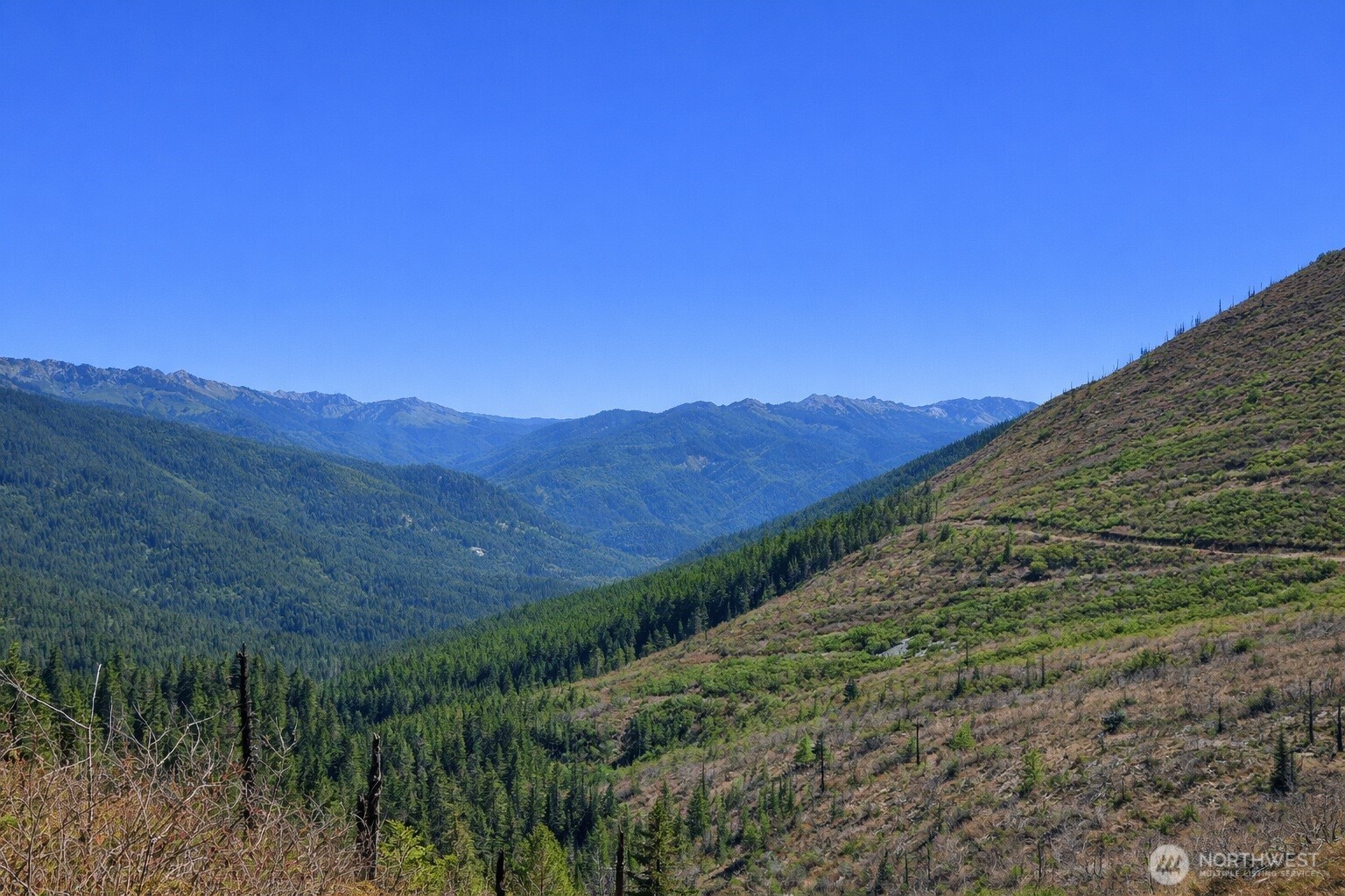 14638 US Hwy 2