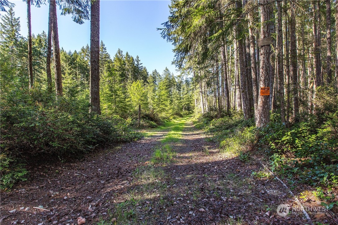 11910 Alpine Drive SW