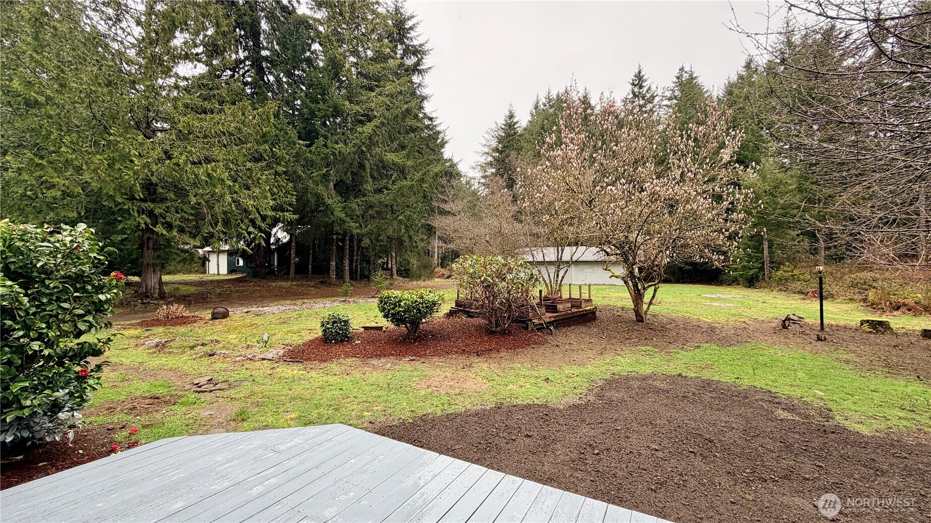 11 Webb Road SW