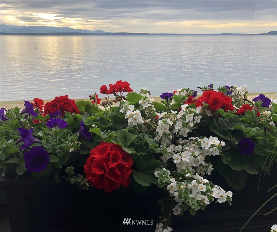 1534 Alki Avenue SW 301