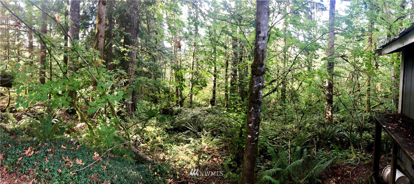 5 Big Tree Drive