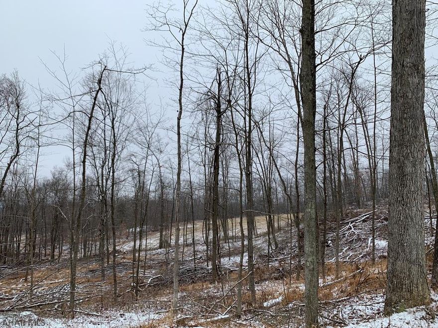 14.22 acres of wooded land with good views of the countryside. Site is perc approved for a private sewer system and would make a great place to build that new home or cabin gat-away. Centrally located to Buchanan State Forest. Public road frontage with electric at the road. Contingent upon subdivision approval.