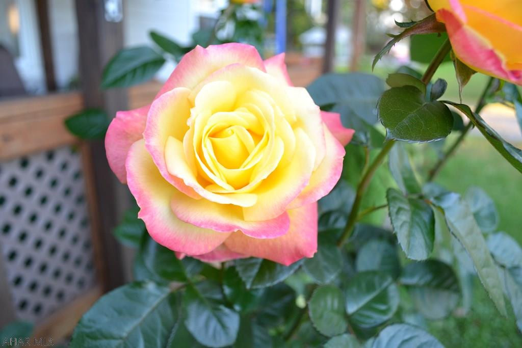 Woodbury - Residential