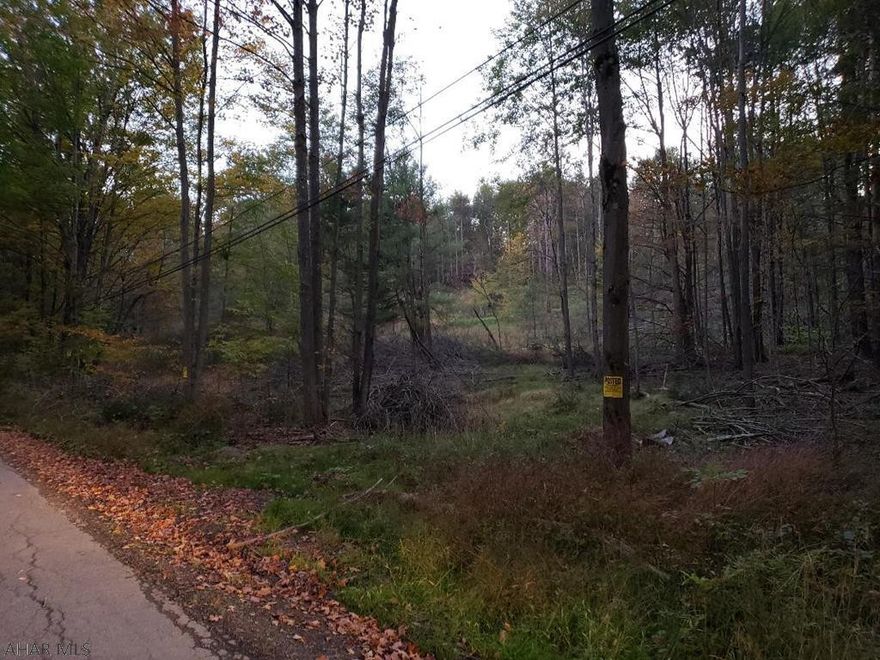 Beautiful 6 Acres, some cleared & select cut wooded, approx 10 minutes to Glendale Lake, lots of deer, very peaceful setting, perc approved & design system available for 3 bedroom home, public water across street.  J-451